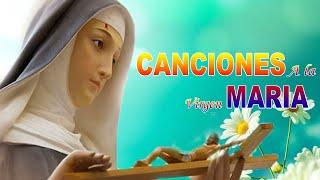 Hermosa cancion a nuestra Madre Santísima Las mejores te fortalecerá tu corazón alma y Espíritu