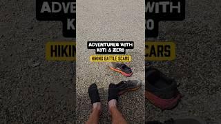 Adventures with Koti & Zero. Hiking battle scars #dailyvlog #hikingadventures #travelvlog