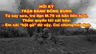 HỒI KÝ TRẬN ĐÁNH ĐỒNG BUNG | Hồi Ký Miền Nam VN