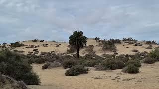 Swinger auf Gran Canaria in den Dünen von Maspalomas