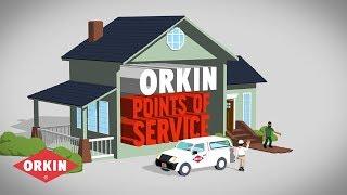 Orkin Points Of Service – What To Expect With Your Pest Control Service