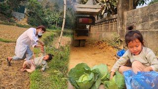 4 year old daughter harvests cabbage to sell to make ends meet, cruel nurse