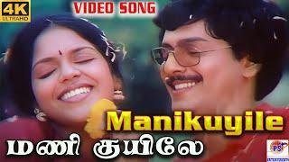 மணி குயிலே  || Manikuyile || Mano, Uma Ramanan || Love Melody Song || Shankar Ganesh || PS Thenisaii