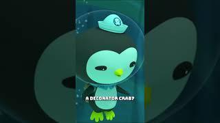 ​@Octonauts - What Is A Decorator Crab?   | Underwater Sea Education | #shorts #decoratorcrab