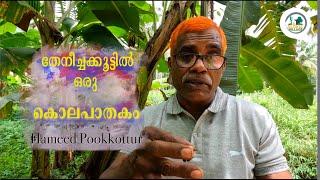 തേനീച്ചക്കൂട്ടിൽ ഒരു കൊലപാതകം.  A murder in beehive. Hameed Pookkottur