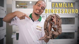 Família Dinossauro ! um programa que promete fazer a sua Família Dinossauro ainda maior.