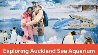 A Fun-Filled Day in Auckland: Sea Aquarium, Shopping | අපි මාළු බලන්න ගියා   | Shopping කරා