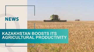 Kazakhstan boosts its agricultural productivity. Qazaq TV News