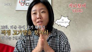 [vlog] 고기 얼마나 먹어야 할까? / 카니보어 10주차 다이어트 브이로그 / 코코넛그릭요거트 / JX 콘서트 직캠보기 / 칸디다균 역습