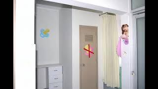 implementacion de lactarios ines solis