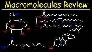 Macromolecules Review