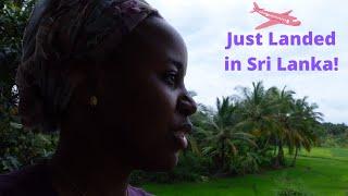 Pull Up in the Sri Lanka | Just landed in Sri Lanka (Day 1) | Gadventures