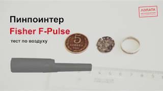 Пинпоинтер Fisher F-Pulse тест глубины