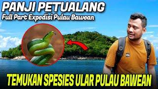 PANJI TEMUKAN SUNGAI ULAR DI PULAU BAWEAN‼️ EXPEDISI BERAKHIR DISINI