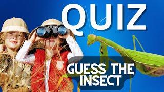 Guess The Insect Quiz for Kids Learning | Fun Facts & Trivia!