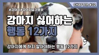 강아지가 싫어하는 행동 12가지