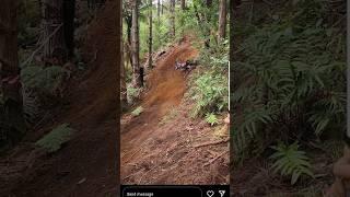 Race Run Crash