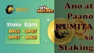 Paano KUMITA sa My Defi Pet Token Staking with BSC Station [DPET x BSCS Skating]