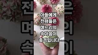 아들에게 전해 들은 며느리의 속마음이 충격입니다