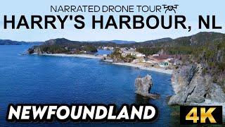 ️ Harry's Harbour from Above: A 4K Newfoundland Odyssey! 