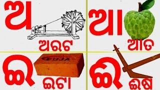 Odia BarnaMala ( ଓଡ଼ିଆ ବର୍ଣ୍ଣମାଳା ) | Odia Barnabodha | Odia Alphabets