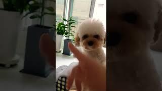 목욕하고 기분이좋아요