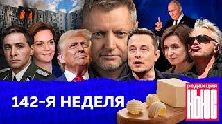 Редакция. News: 142-я неделя