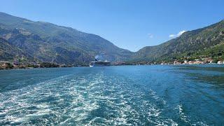 Бока Которська затока, Чорногорія у червні 2024! #montenegro #travel #ukraine