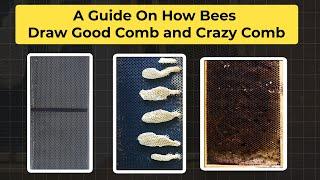 A Guide on How Bees Draw Good Comb and Crazy Comb