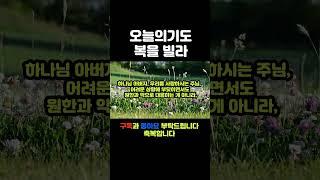 오늘의기도240317 #오늘의기도 #매일기도 #따라하는기도 #듣는기도