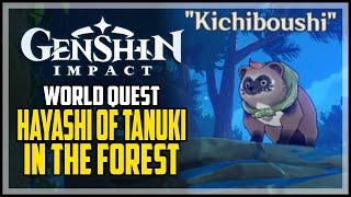 Hayashi of Tanuki In The Forest Genshin Impact