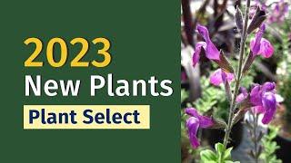 New Plants for 2023 From Plant Select