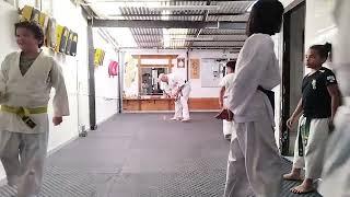 Clase de Karate Infantil - Desarrollo de Habilidades Motoras y Técnicas Básica