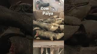 Cow Paya | Beef Paya Recipe | Paya ka Salan #youtubeshorts #short #shortvideo #ytshorts #shortsvideo