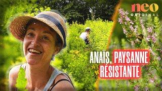 Anaïs, productrice de tisane bretonne, se bat pour une agriculture paysanne