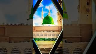roza e Rasool  #viralvideo #8millionviews #ytshorts #youtubeshorts #viralshorts #shorts #islamic