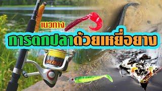 เทคนิคการตกปลาด้วยเหยื่อยาง | เบื้องต้น |