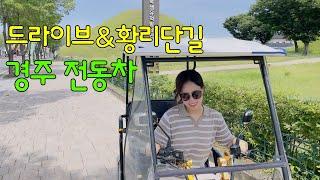 Would you like to join me for a trip to Gyeongju? Romantic drive and Hwangridangil mukbang