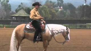 Reining 101 - Andrea Fappani