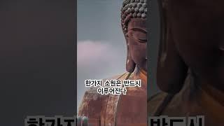 한가지 소원은 무조건 이루어진다 영인스님 일천만독 천수경 #buddha #염불 #독경 #healing