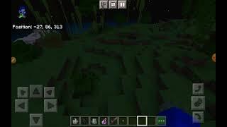 this is rare bioma? in minecraft