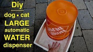 Diy ● 5 Gallon DOG Water Station