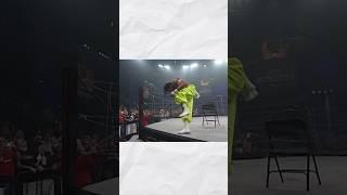 Pro Wrestling is Really Fake