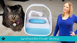 SureFeed Pet Feeder Review