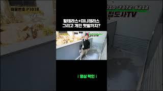 왕테라스도 있는데 미니 텃밭까지 있는 집!!! #신축빌라 #양주 #장흥 #개별창고 #인테리어 #인테리어예쁜집 #테라스#공동테라스
