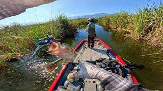 Explorando Canales LLENOS de Peces! | Pesca en la Jungla