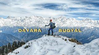 We Finally Reached the Heaven of Snow! Dayara Bugyal Trek | Best Winter Trek | Meandering Doc