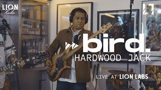 bird. - Hardwood Jack (Live at Lion Labs)