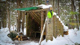 Building a Fort in the Woods-OVERNIGHT BUSHCRAFT CAMP in the Snow w/ My Dog