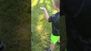 7 year old Owen with #badparents - playing with memorial butterfly who wanted to stay